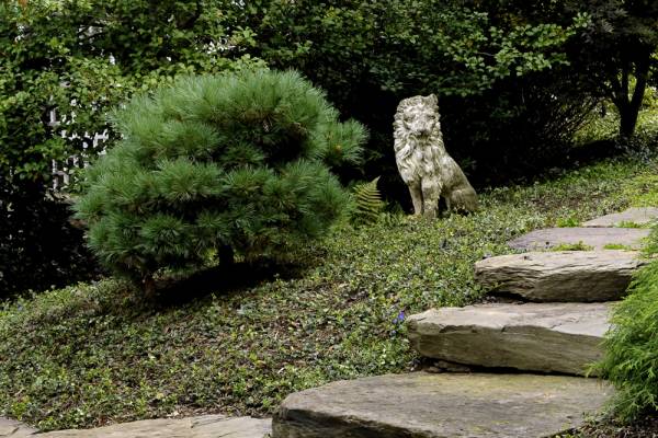 Great Falls VA Renovation Stone Path