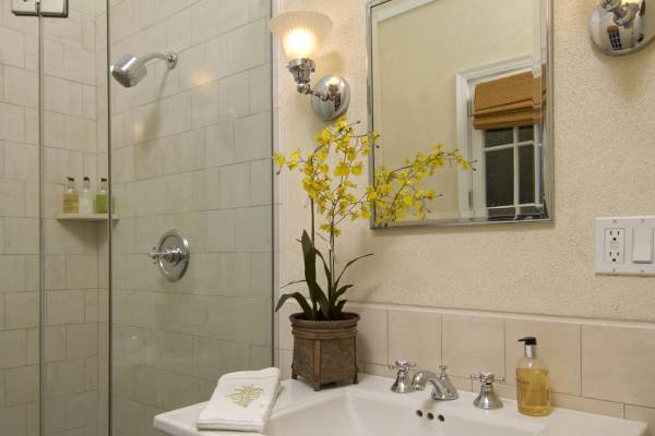 Washington DC Pool House Addition Bathroom