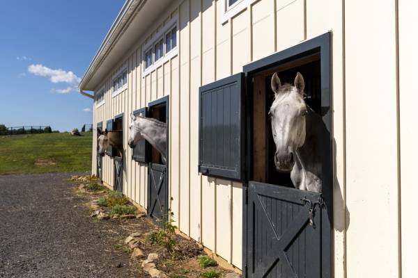 Middleburg Barn Complex