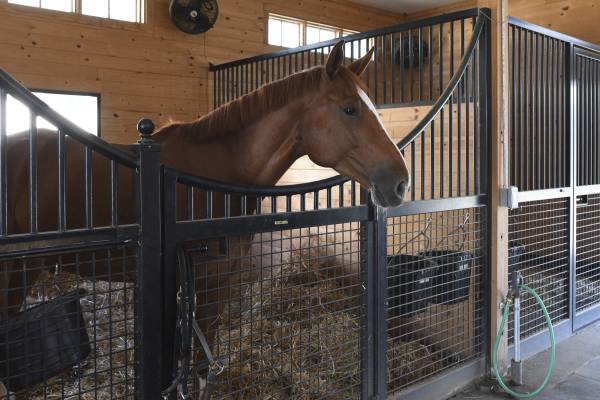 Middleburg Barn Complex