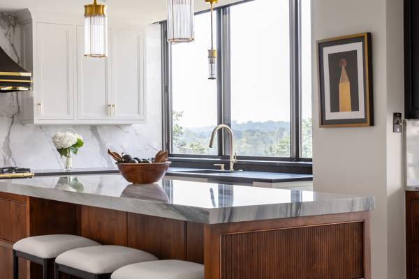 BOWA Condo Renovation Experts - Luxury Kitchen Remodel in DC 