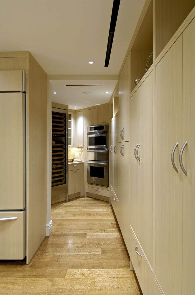 Washington DC Condo Renovation Kitchen | Condominiums