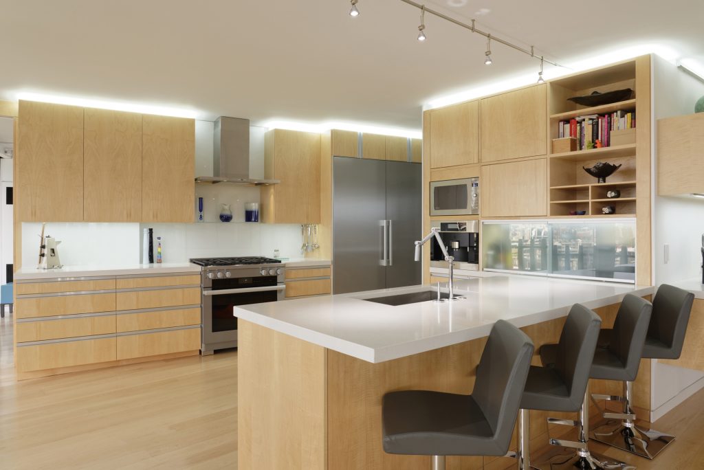 BOWA Design Build Contemporary Condominium Renovation in DC