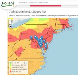 Tips for Managing Pollen Season - Apps