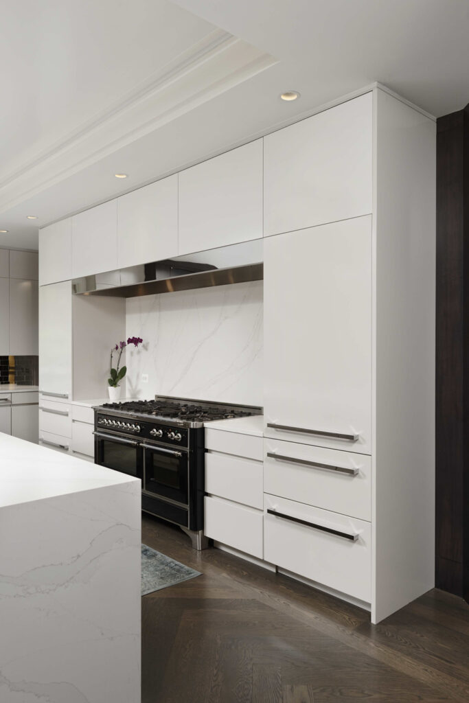 Modern Contemporary Kitchen Renovation | Contemporary / Modern