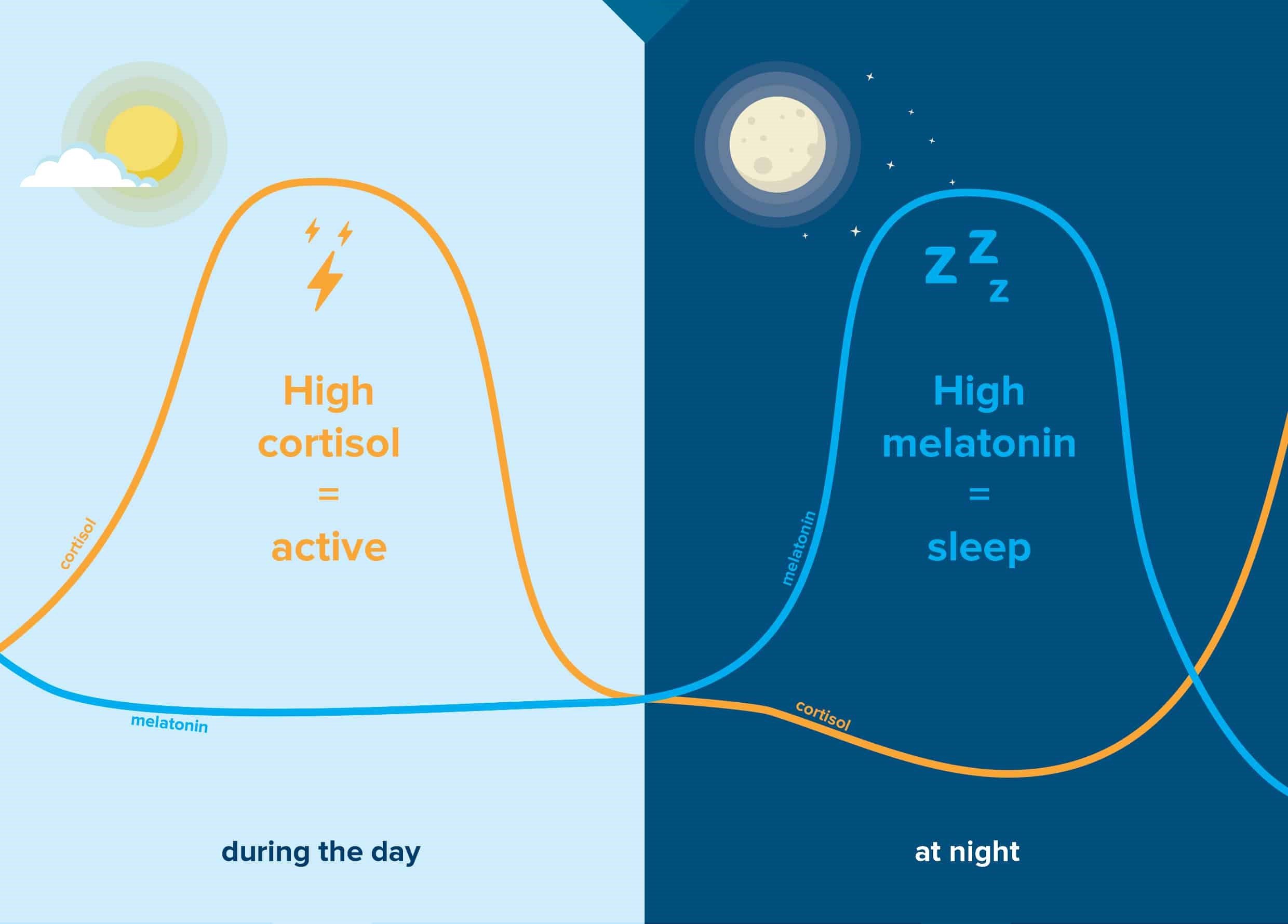 Lighting & Wellness - Effect of Lighting on Your Body Rhythm